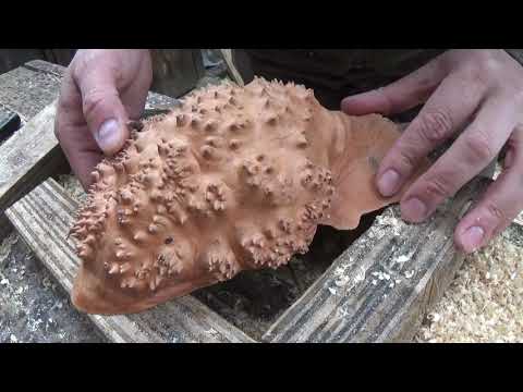 Видео: Делаю миску из капа березы.  Процесс. The process of making a wooden bowl of birch burl