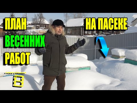 Видео: ВАЖНЫЕ РАБОТЫ НА ПАСЕКЕ ВЕСНОЙ! ПОДРОБНЫЙ ПЛАН ДЛЯ НАЧИНАЮЩИХ ПЧЕЛОВОДОВ 22-8