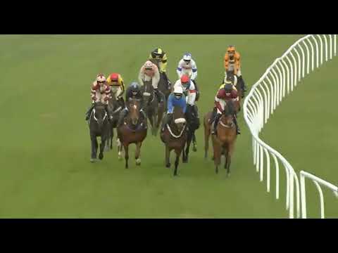 Видео: 1523 Ньютон Эббот