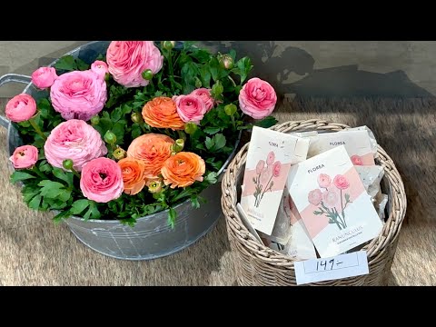 Видео: Невероятно Красивая Скандинавская Садовая Ярмарка 2025 🌱🌼 Садоводство в Швеции | Весенний Декор