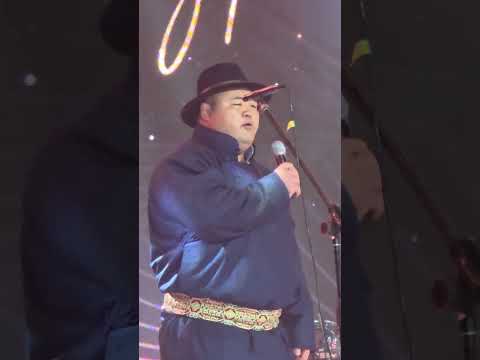 Видео: МУ АВРАГА ОЮУНБОЛД , МУСТА БОЛОР-ЭРДЭНЭ