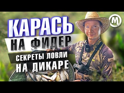 Видео: Карась на фидер! Секреты ловли на дикаре