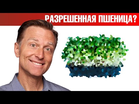 Видео: Единственный вид пшеницы, который полезен🧐