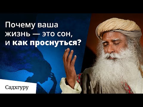 Видео: Твоя жизнь на 99% — просто иллюзия