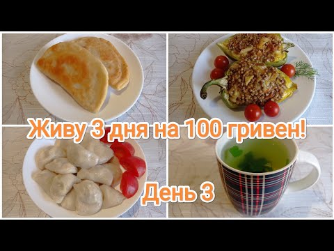 Видео: Живу 3 дня на 100 гривен! День 3