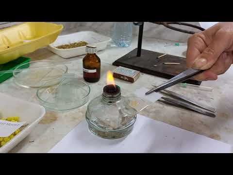 Видео: Микроскопический анализ сырья цветки для мелких цветков