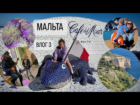 Видео: МАЛЬТА 2024 🇲🇹 Океанариум 🐠 арендовали машину 🚗 Ева зарабатывает на пропитание 🍫 Часть 3
