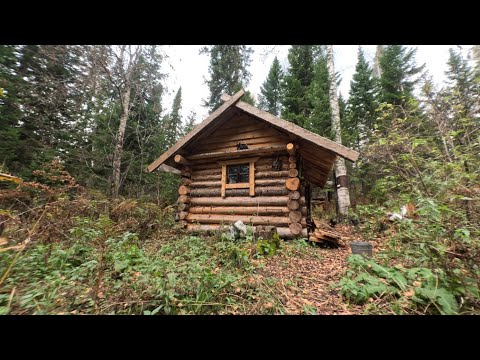 Видео: ЖИВУ КРУГЛЫЙ ГОД В ТАЙГЕ. РУБЛЮ  (ЗИМОВЬЕ) В ДИКОМ СТИЛЕ. НОЧЬ В ИЗБЕ, ЗАМОРОЗКИ.