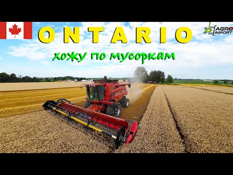 Видео: Аграрный рай - Онтарио, Канада. Уборка зерновых, комбайны Case, John Deere, Gleaner. Поля, фермы