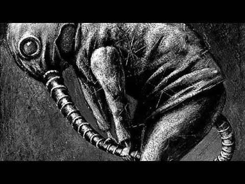 Видео: ЕГР ная битва ..