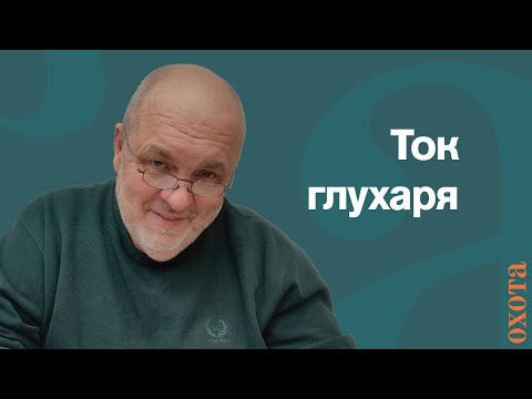 Видео: Ток глухаря. Валерий Кузенков об охоте на глухаря.