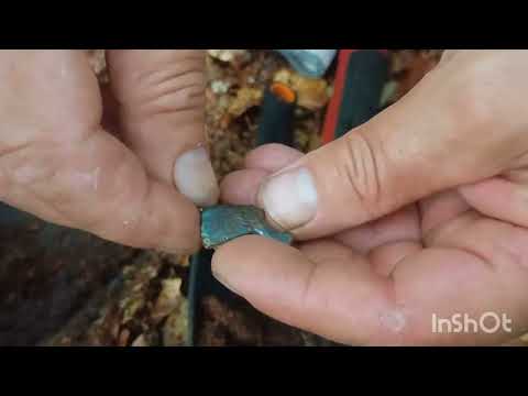 Видео: Курінь в хащах.#