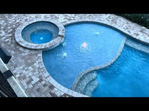 Видео: Как дрессируют тигров в цирке братьев Запашных