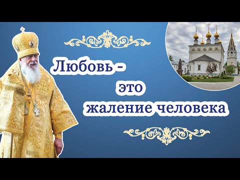 Видео: Любовь - это жаление человека