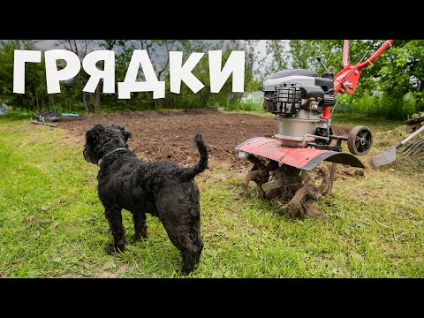 Видео: Дача 20 соток - Готовлю Грядки под Картошку