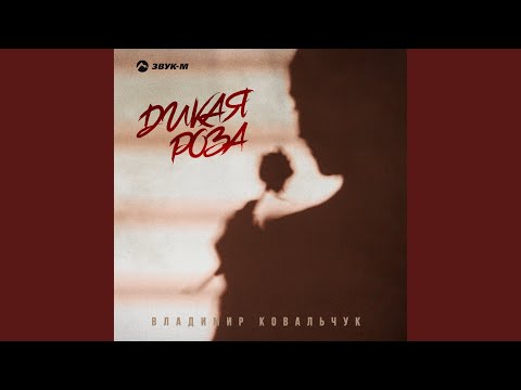 Видео: Дикая роза