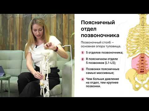 Видео: Как избавиться от болей в спине и пояснице?