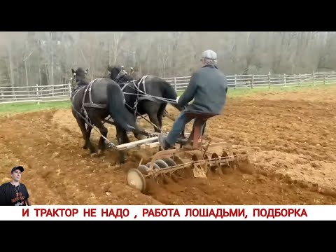 Видео: ЭТО ВАМ НЕ ТРАКТОР,РАБОТА ЛОШАДЬМИ В РАЗНЫХ СТРАНАХ МИРА/ UNIQUE HORSES,WORK IN DIFFERENT COUNTRIES