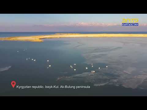 Видео: "Ак-Булуң Эко" коругу.