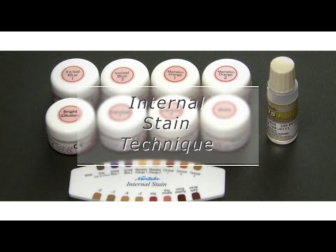 Видео: Алек Аронин - Техника нанесения внутренних красителей (Internal stain) керамики Noritake™ CZR