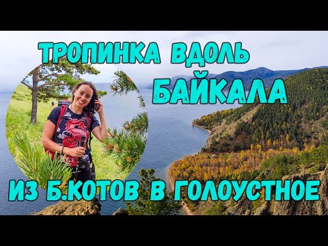 Видео: Чуть не встретили медведя на ББТ!