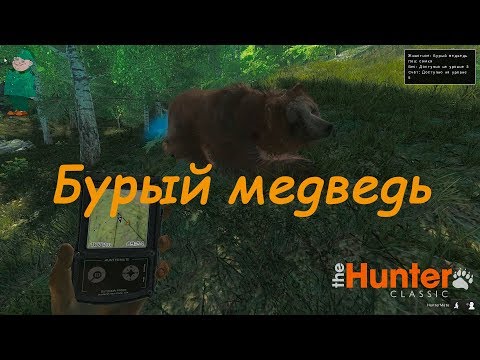 Видео: theHunter Classic. Охота на бурого медведя.
