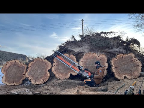 Видео: Очень опасный, но эффективный распил пня