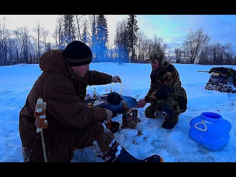 Видео: Рыбалка на хариуса. Путешествие в глухую тайгу. Жизнь в тайге. Часть 2.