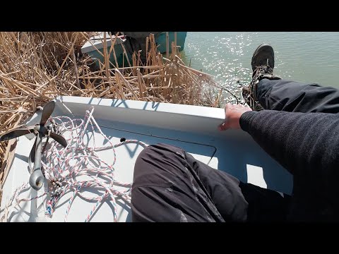 Видео: Какой-то МОНСТР выпрыгнул и чуть ногу не откусил. Рыбалка на Балхаше.