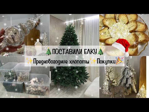 Видео: Поставили ЕЛКУ 🎄 Предновогодние хлопоты ✨ Покупки🎉