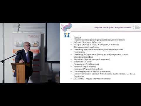 Видео: Румянцев А. Г.  Клиническая иммунология ее значение в медицинской практике