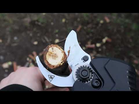 Видео: НЕ ДАЙ БОГ Акумуляторний секатор Дніпро-М PS-12BC