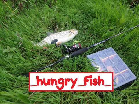 Видео: МОНСТР реки АБИН!!! Голавль на джиг!!! Спиннинг на малой речке!!! #fishing #fish #топ #рыбалка