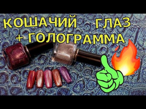 Видео: лак🙀 Кошачий глаз и голограмма ⭐🔥⭐Звезда YouTube и Инстаграма⭐