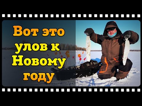 Видео: Рыбалка на жерлицы зимой или как поймать налима в декабре.