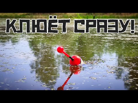 Видео: ЛЕСНАЯ МИКРОРЕЧКА ВЫДАЁТ! Закинул в дебри и КЛЮЁТ! Рыбалка на поплавок 2023!