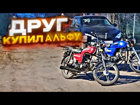 Видео: ДРУГ КУПИЛ АЛЬФУ! ПОКАТУШКИ ТОЛПОЙ!