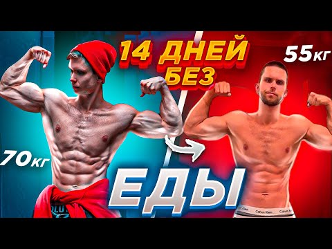 Видео: 14 ДНЕЙ БЕЗ ЕДЫ! ЧТО СТАЛО С ЭКТОМОРФОМ?