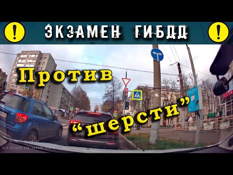 Видео: Экзамен ГИБДД. "Против шерсти!"