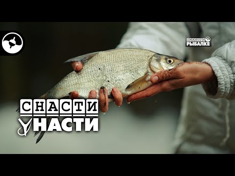 Видео: Апрельский лещ | Снасти у Насти
