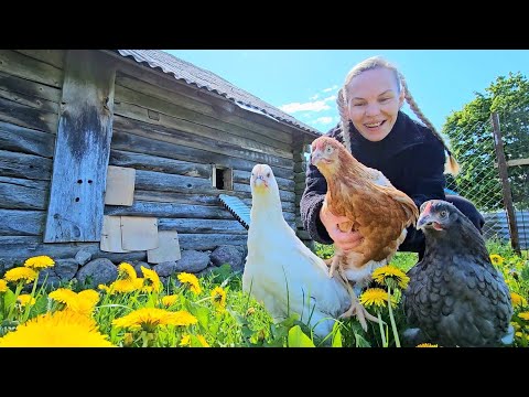 Видео: УРА! У нас пополнение - НАСТОЯЩЕЕ ХОЗЯЙСТВО! Наша ЖИЗНЬ В ДЕРЕВНЕ и ремонт в старом доме!