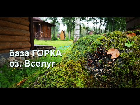 Видео: База "ГОРКА", озеро Вселуг - как ДИВЕР за ...АМИ ходил! Как так случилось, что это получилось?