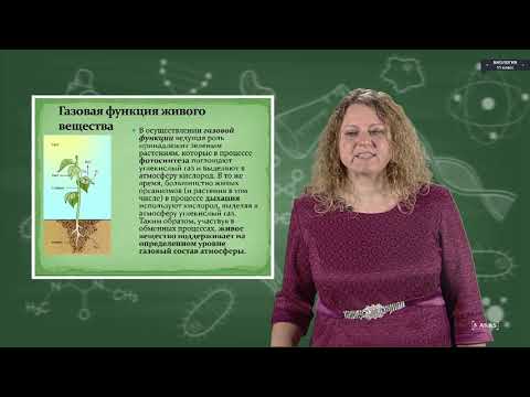 Видео: Биология - 11 класс - Биосфера. Ноосфера