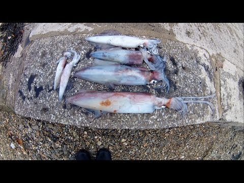 Видео: Поймайте, очистите, нафаршируйте и приготовьте кальмаров!