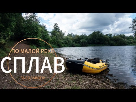 Видео: Сплав по малой реке, ловля голавля на спиннинг