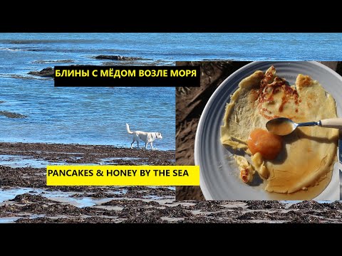 Видео: Happyness is pancakes & Honey by the sea| Счастье - это блины с медом возле моря. Low Newton England