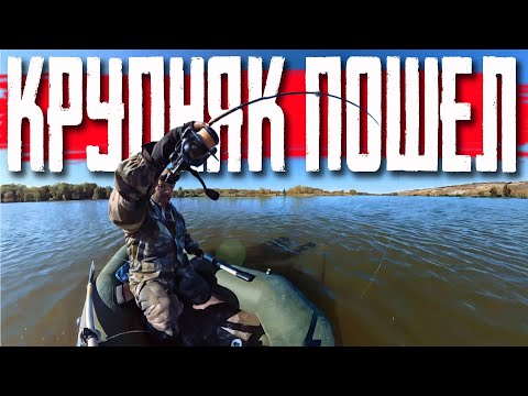 Видео: 🔴 РУКИ ТРЯСУТСЯ! ОГРОМНАЯ ЩУКА схватила ВОБЛЕР и ПРЕТ на ЛОДКУ!!! Ловля крупной щуки на спиннинг!🔥🔥🔥