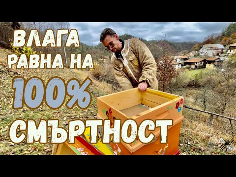 Видео: Капково с ОКСАЛОВА КИСЕЛИНА; влажност в кошерите