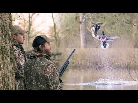 Видео: Охота на крякв и лесных оленей в затопленном лесу!