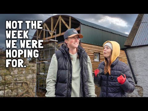 Видео: Когда дела идут не по плану — зима близко.